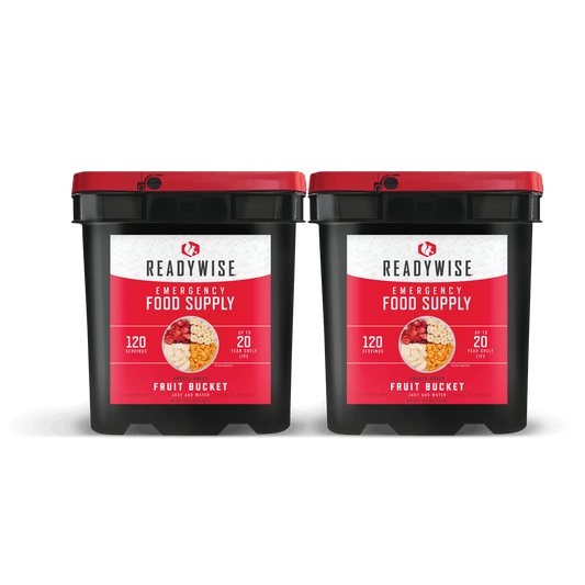 240 Serving Freeze Dried Fruit Bucket (2, 120 serving buckets)