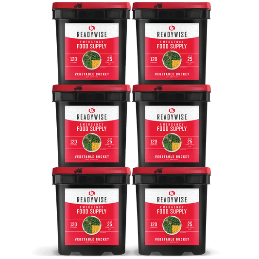 720 Serving Freeze Dried Vegetables (6, 120 serving buckets)